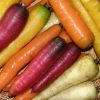 Sélection « Racines pour l'hiver » – Image 4