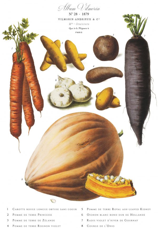 Affiche VilMorin No.28