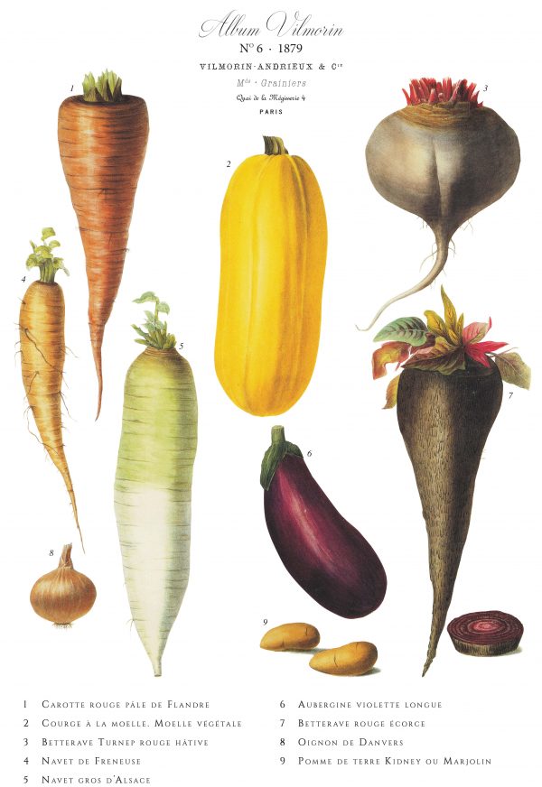 Affiche VilMorin No.6