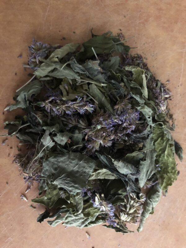 Agastache fenouil – Image 2