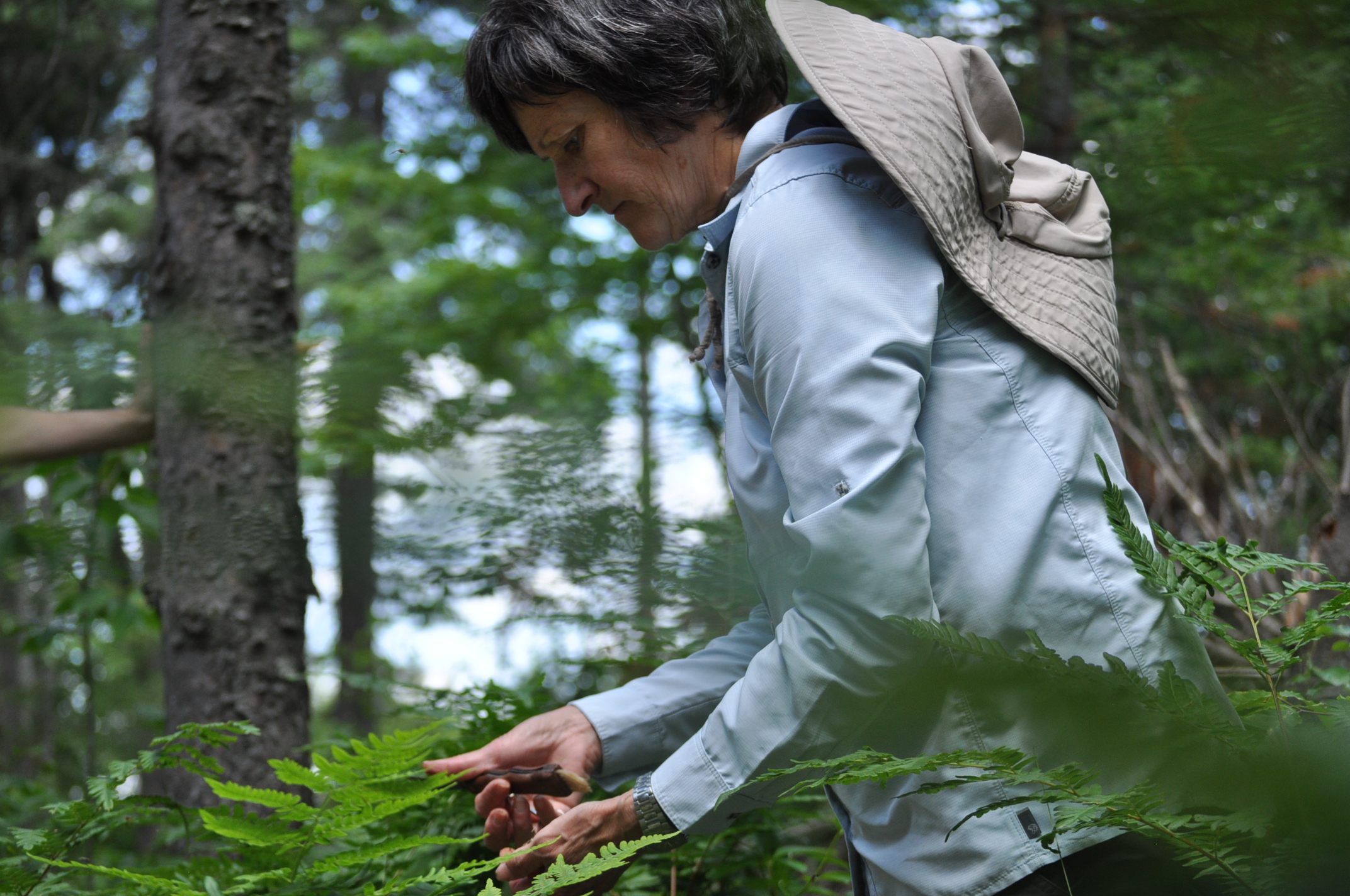 Céline Bouchard - Les ateliers Vitaforêt