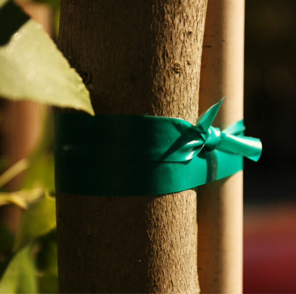 Ruban « Plant Tie » d’Hydrofarm – Image 2