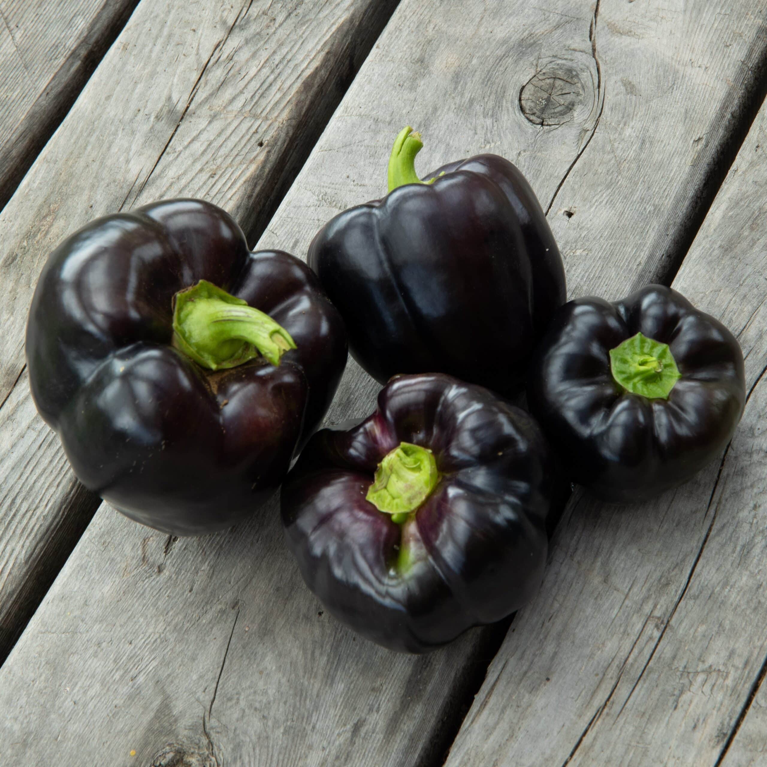 Poivron Purple Beauty - Bio – Image 2