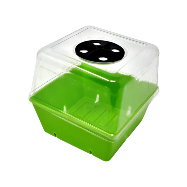 Dôme d'humidité pour plateau