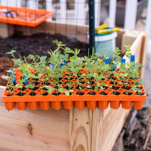 Plateau de propagation