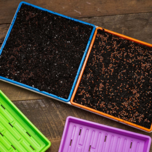 Plateau pour micropousses 1010